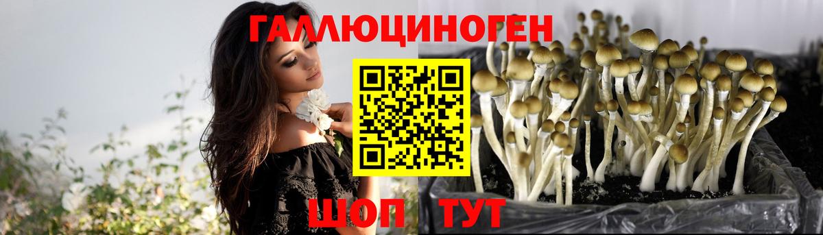 Псилоцибиновые грибы Psilocybine cubensis  Галлюциногенные грибы мицелий  Вход с VPN  Моздок 